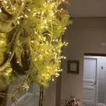 Bed & Breakfast Ambra Noblesse